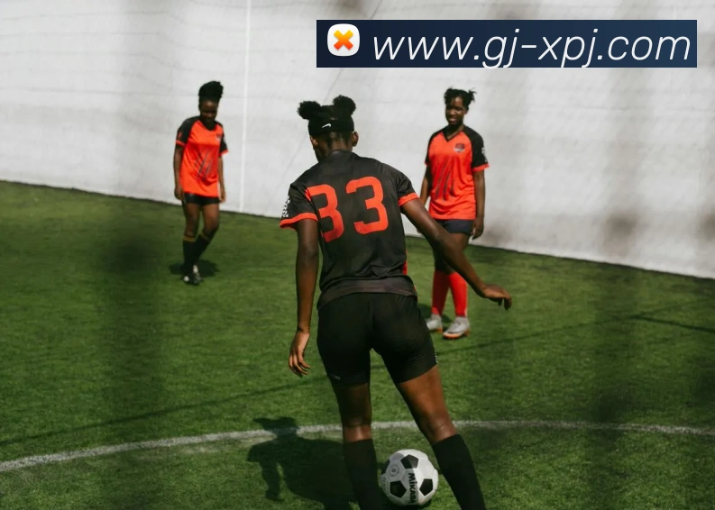 新葡京娱乐平台生态图